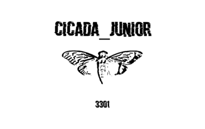 «Cicada_Junior»: итоги