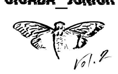 «Cicada_Junior vol.2»: итоги